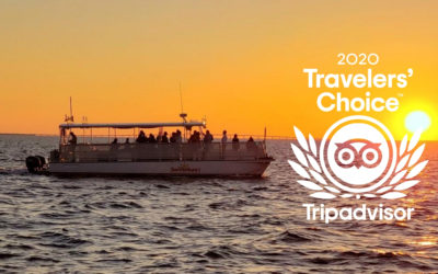 SunVenture Cruises Wins 2020 Tripadvisor Travelers’ Choice Award