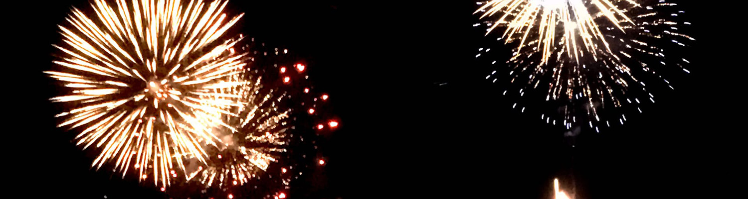 Fireworks Cruises